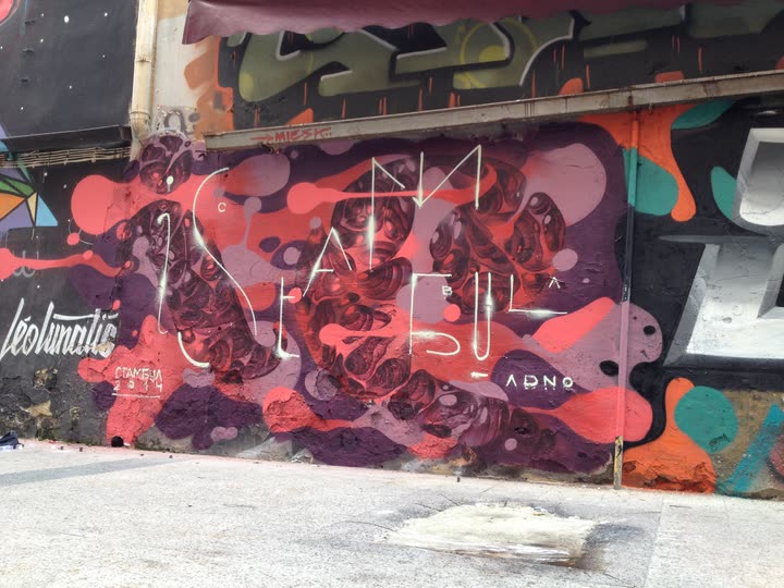 Istanbul, with Leo Lunatic, Istanbul, Turkey, 2014